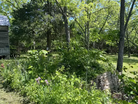 3020 State Hwy W, Dora, MO 65637 photo 9