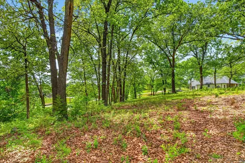 tbd Blue Jay Way, Nixa, MO 65714 photo 6