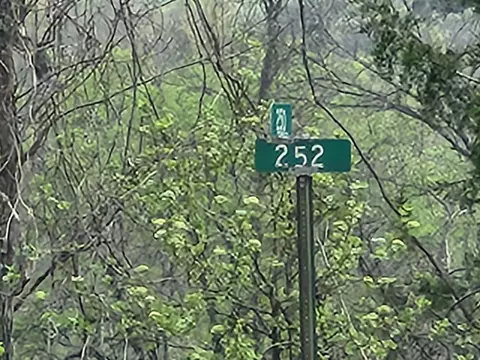 000 County Road 250, Drury, MO 65638 photo 3