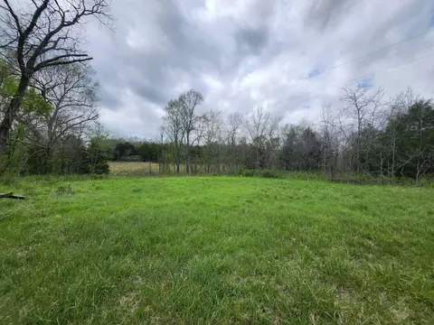 000 County Road 250, Drury, MO 65638 photo 2
