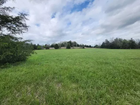 000 County Road 250, Drury, MO 65638 photo 5