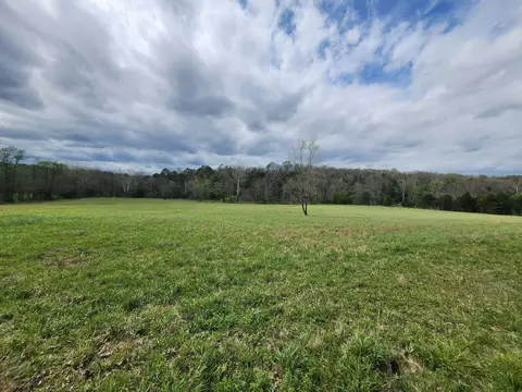 000 County Road 250, Drury, MO 65638 photo 4