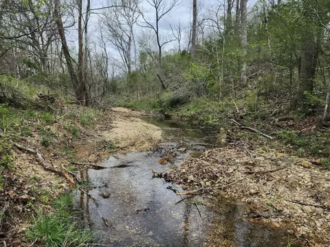 0 County Road 250-80, Drury, MO 65638 photo 4