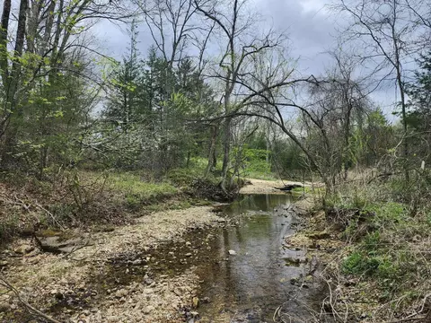 0 County Road 250-80, Drury, MO 65638 photo 5