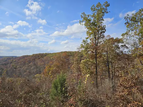 Other - 2489 Logan Ridge Rd, Ozark, MO 65721 photo 20 of 20