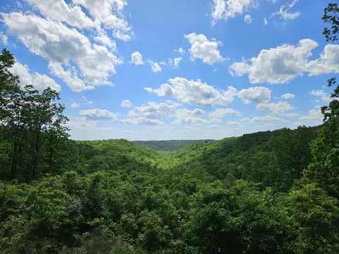 View/Area - 2489 Logan Ridge Rd, Ozark, MO 65721 photo 1 of 9