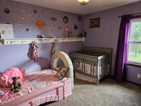 Bedroom - 2489 Logan Ridge Rd, Ozark, MO 65721 photo 3 of 5