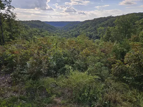 Other - 2489 Logan Ridge Rd, Ozark, MO 65721 photo 13 of 20