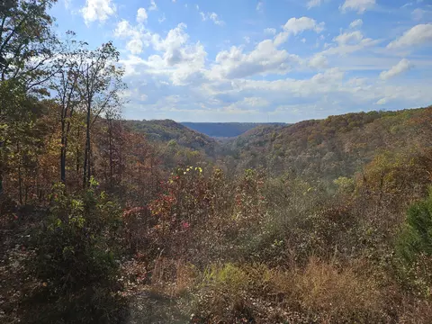 View/Area - 2489 Logan Ridge Rd, Ozark, MO 65721 photo 9 of 9