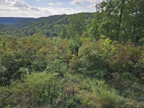 Other - 2489 Logan Ridge Rd, Ozark, MO 65721 photo 14 of 20
