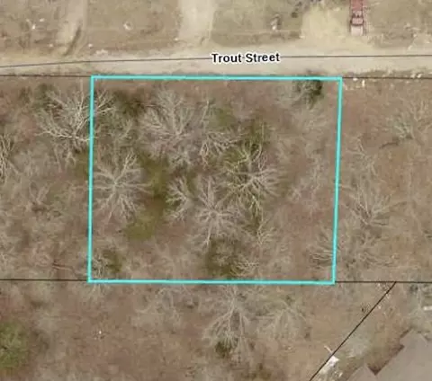 140 Trout St, Kissee Mills, MO 65680