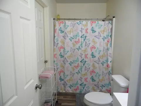 Bath - 422 E South St, Mansfield, MO 65704 photo 2 of 4