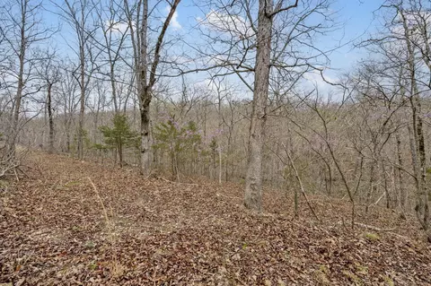 lot6 Scenic Hts, Bruner, MO 65620 photo 8