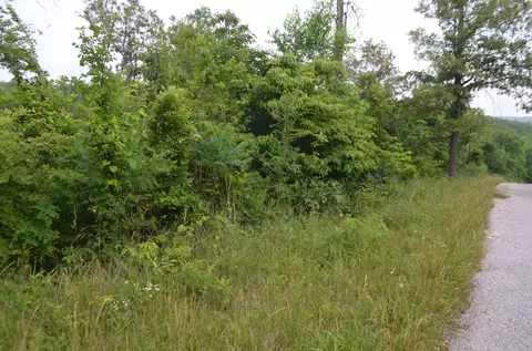 lot6 Scenic Hts, Bruner, MO 65620 photo 6