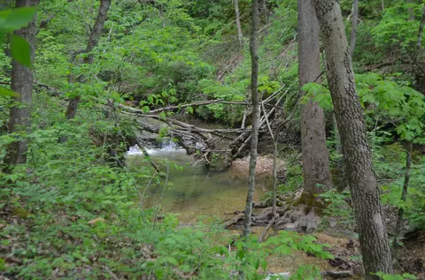 lot6 Scenic Hts, Bruner, MO 65620 photo 17