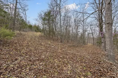 lot6 Scenic Hts, Bruner, MO 65620 photo 9