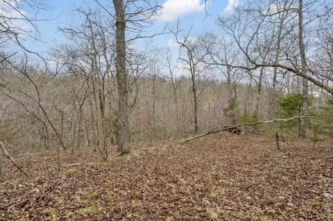 lot6 Scenic Hts, Bruner, MO 65620 photo 10