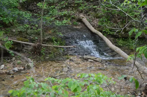 lot6 Scenic Hts, Bruner, MO 65620 photo 16