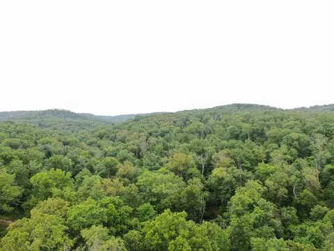 lot6 Scenic Hts, Bruner, MO 65620 photo 4