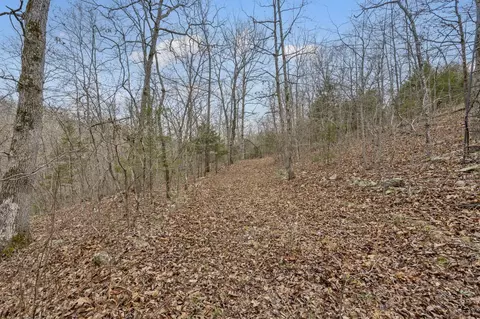 lot6 Scenic Hts, Bruner, MO 65620 photo 11
