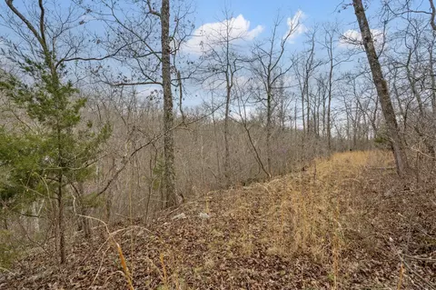 lot6 Scenic Hts, Bruner, MO 65620 photo 12