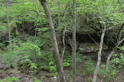 lot6 Scenic Hts, Bruner, MO 65620 photo 14