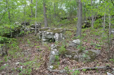 lot6 Scenic Hts, Bruner, MO 65620 photo 13