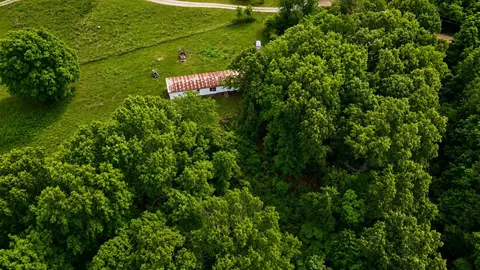 113 Wanda Dr, Squires, MO 65755 photo 6