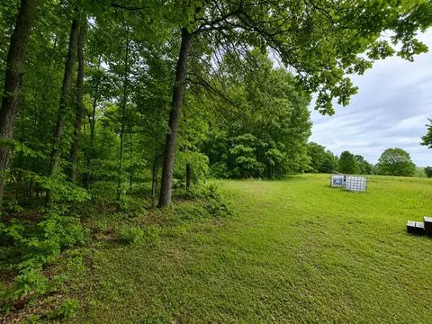 113 Wanda Dr, Squires, MO 65755