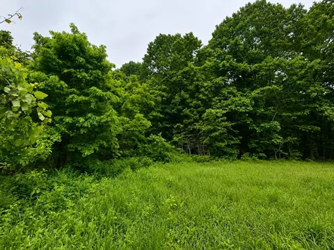 113 Wanda Dr, Squires, MO 65755 photo 3