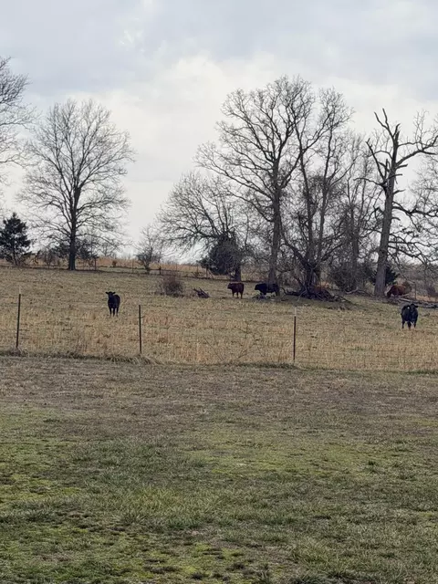 Other - 7348 State Hwy H, Dora, MO 65637 photo 19 of 19