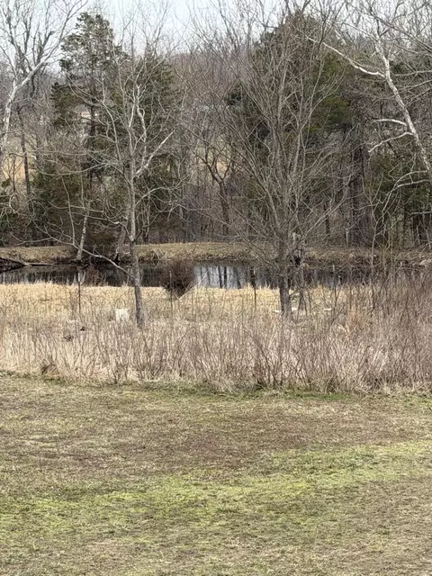 View/Area - 7348 State Hwy H, Dora, MO 65637 photo 1 of 1