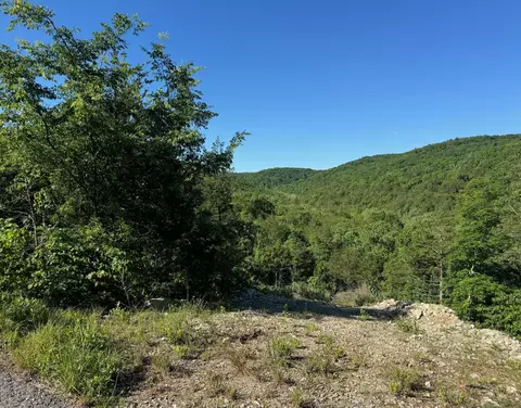 236 Timber Wolf Rd #LOT 9, Hollister, MO 65672