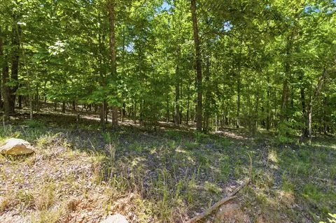 tbd County Road 101, Alton, MO 65606 photo 14