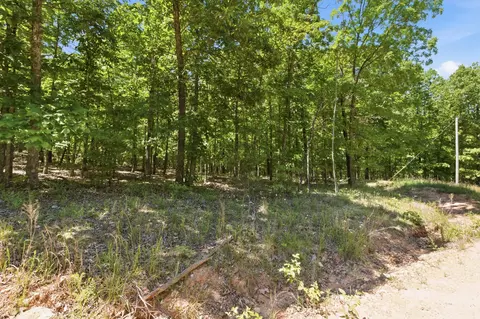 tbd County Road 101, Alton, MO 65606 photo 13