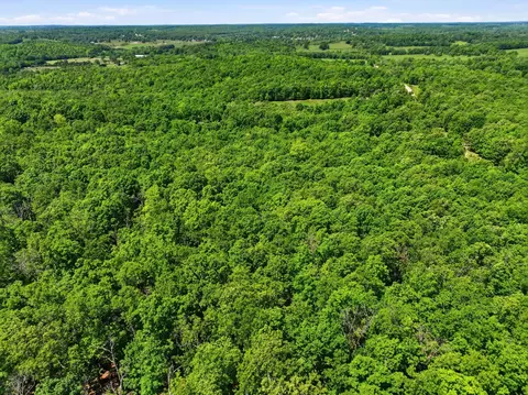 tbd County Road 101, Alton, MO 65606 photo 5