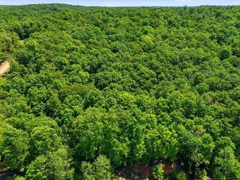 tbd County Road 101, Alton, MO 65606 photo 25