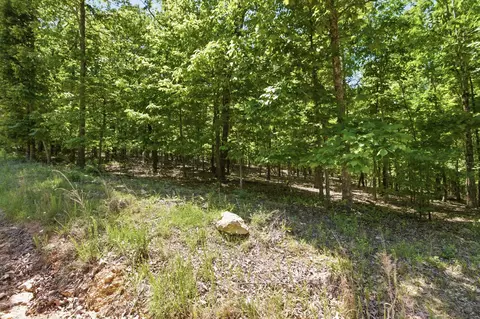 tbd County Road 101, Alton, MO 65606 photo 15