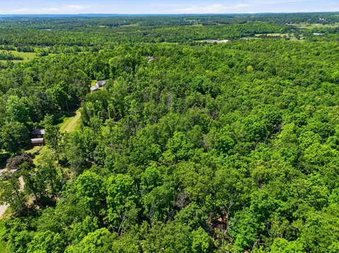 tbd County Road 101, Alton, MO 65606 photo 4