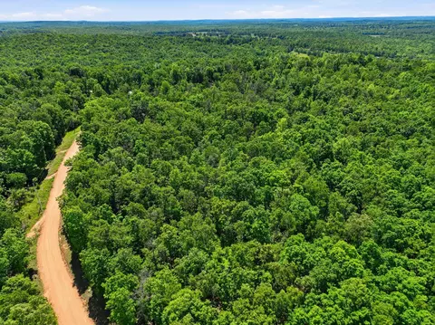 tbd County Road 101, Alton, MO 65606 photo 29