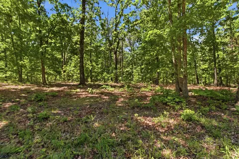 tbd County Road 101, Alton, MO 65606 photo 18