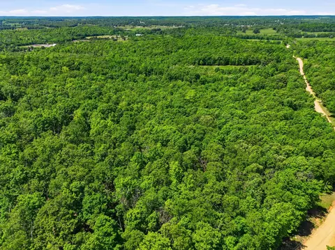 tbd County Road 101, Alton, MO 65606 photo 6