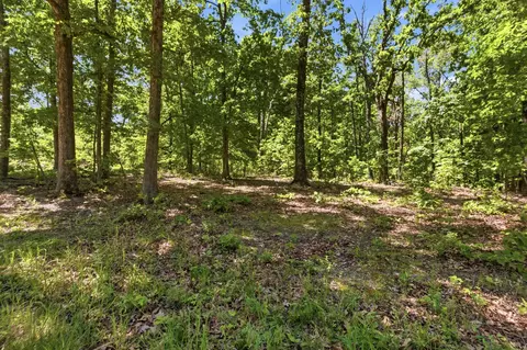 tbd County Road 101, Alton, MO 65606 photo 17
