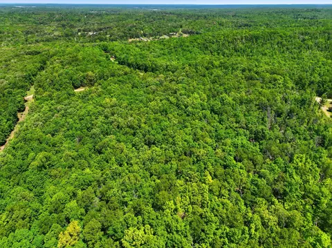 tbd County Road 101, Alton, MO 65606 photo 11