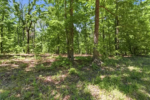 tbd County Road 101, Alton, MO 65606 photo 19