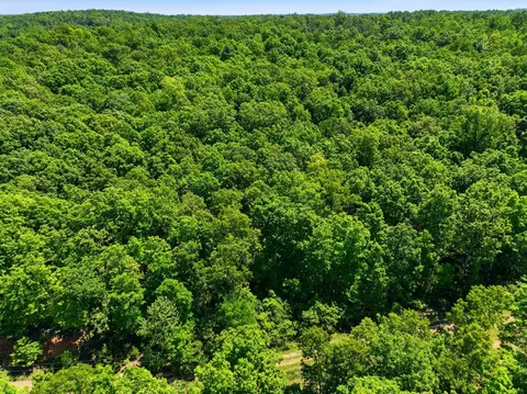 tbd County Road 101, Alton, MO 65606 photo 24