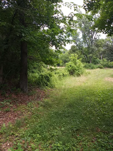 15734 Farm Road 2140, Cassville, MO 65625