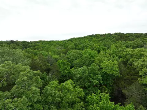 tbd Windy Heron Ln, Reeds Spring, MO 65737 photo 2