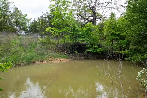 291 County Road 804, Gainesville, MO 65655 photo 11