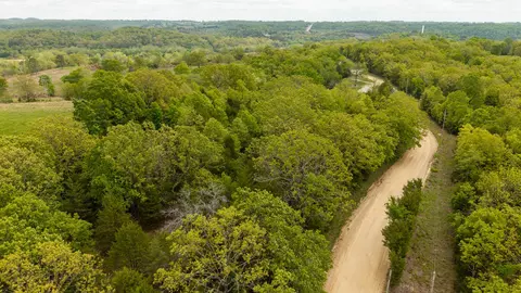 291 County Road 804, Gainesville, MO 65655 photo 6